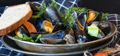 Mussels