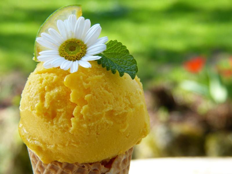 Seasonal Sorbet