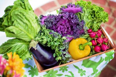 Garden Salad