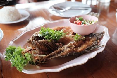 Yellowtail Snapper