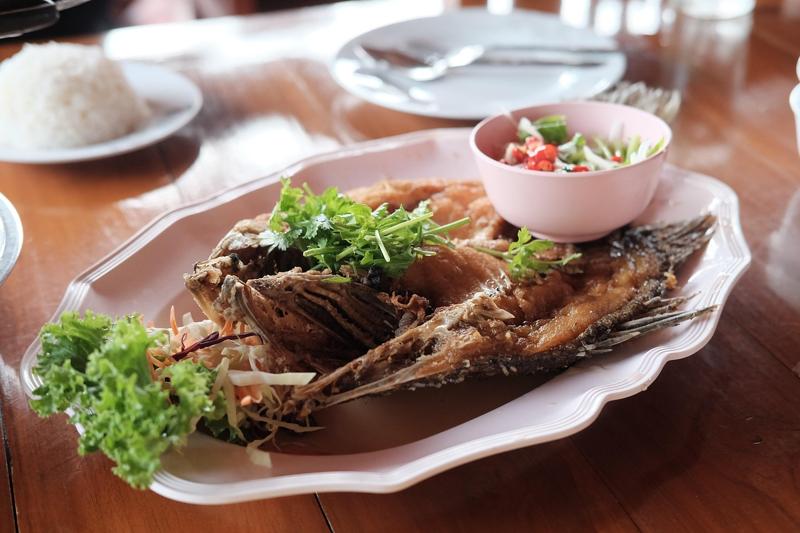 Yellowtail Snapper